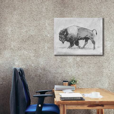 Image of 'Wild Bison Study II' by Emma Scarvey, Giclee Canvas Wall Art,34 x 26