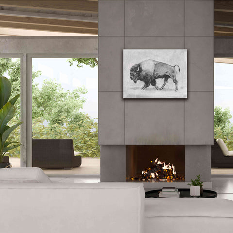 Image of 'Wild Bison Study II' by Emma Scarvey, Giclee Canvas Wall Art,34 x 26