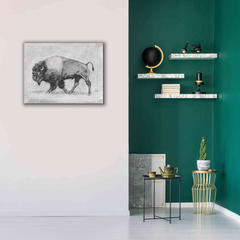 Image of 'Wild Bison Study II' by Emma Scarvey, Giclee Canvas Wall Art,34 x 26