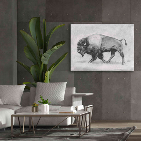 Image of 'Wild Bison Study II' by Emma Scarvey, Giclee Canvas Wall Art,54 x 40