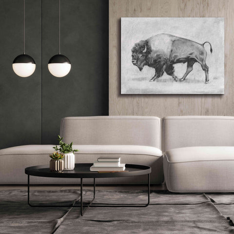 Image of 'Wild Bison Study II' by Emma Scarvey, Giclee Canvas Wall Art,54 x 40