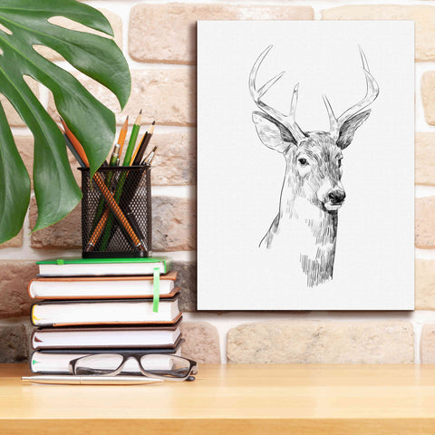 Image of 'Young Buck Sketch I' by Emma Scarvey, Giclee Canvas Wall Art,12 x 16