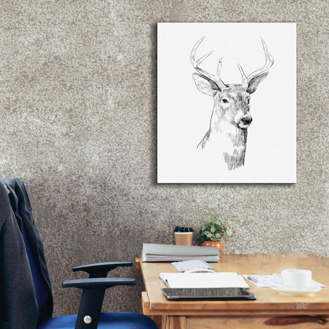 Image of 'Young Buck Sketch I' by Emma Scarvey, Giclee Canvas Wall Art,26 x 30