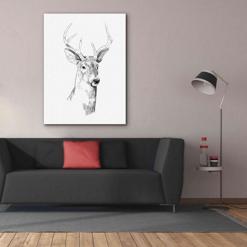 Image of 'Young Buck Sketch I' by Emma Scarvey, Giclee Canvas Wall Art,40 x 54