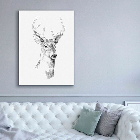 Image of 'Young Buck Sketch I' by Emma Scarvey, Giclee Canvas Wall Art,40 x 54