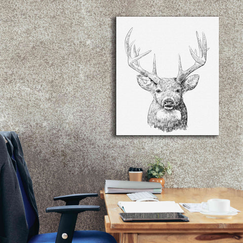 Image of 'Young Buck Sketch II' by Emma Scarvey, Giclee Canvas Wall Art,26 x 30
