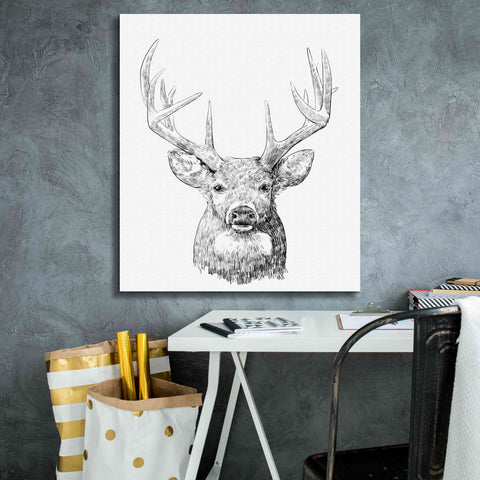 Image of 'Young Buck Sketch II' by Emma Scarvey, Giclee Canvas Wall Art,26 x 30