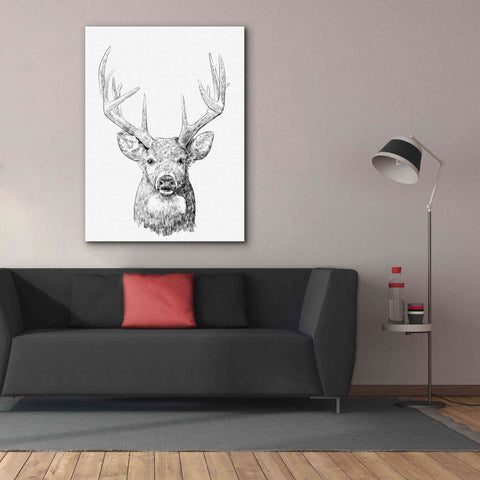 Image of 'Young Buck Sketch II' by Emma Scarvey, Giclee Canvas Wall Art,40 x 54