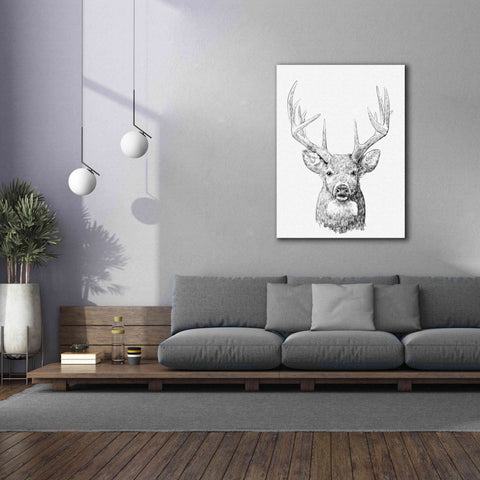 Image of 'Young Buck Sketch II' by Emma Scarvey, Giclee Canvas Wall Art,40 x 54