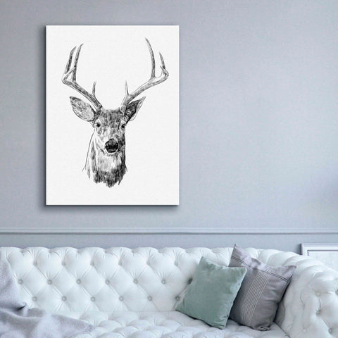 Image of 'Young Buck Sketch III' by Emma Scarvey, Giclee Canvas Wall Art,40 x 54