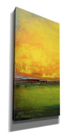 Image of 'Lime Wire I' by Erin Ashley, Giclee Canvas Wall Art