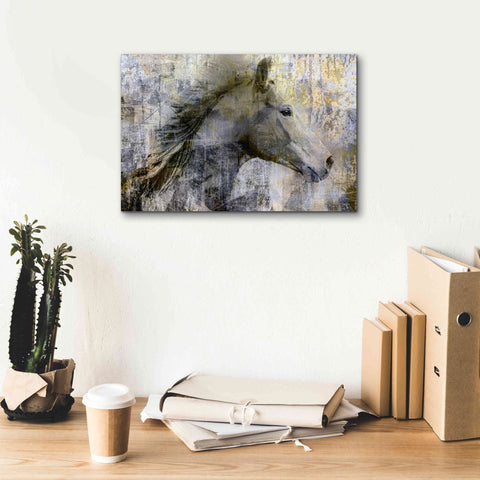 Image of 'Vintage Horse,' Canvas Wall Art,18x12