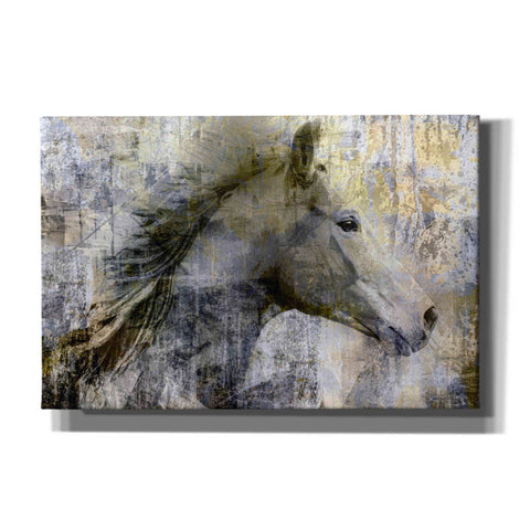 Image of 'Vintage Horse,' Canvas Wall Art,18x12x1.1x0,26x18x1.1x0,40x26x1.74x0,60x40x1.74x0