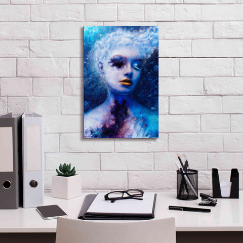 Image of 'Alexitimic Winter' by Mario Sanchez Nevado, Canvas Wall Art,12x18