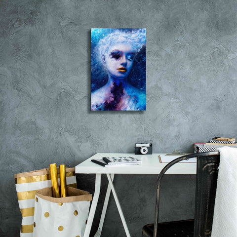 Image of 'Alexitimic Winter' by Mario Sanchez Nevado, Canvas Wall Art,12x18