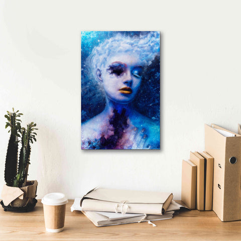 Image of 'Alexitimic Winter' by Mario Sanchez Nevado, Canvas Wall Art,12x18