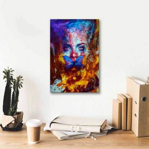 Image of 'Cyclolysis Metamorphica' by Mario Sanchez Nevado, Canvas Wall Art,12x18