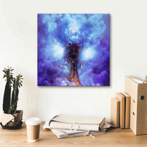 Image of 'Evaporate' by Mario Sanchez Nevado, Canvas Wall Art,18x18