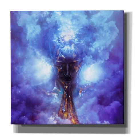 Image of 'Evaporate' by Mario Sanchez Nevado, Canvas Wall Art