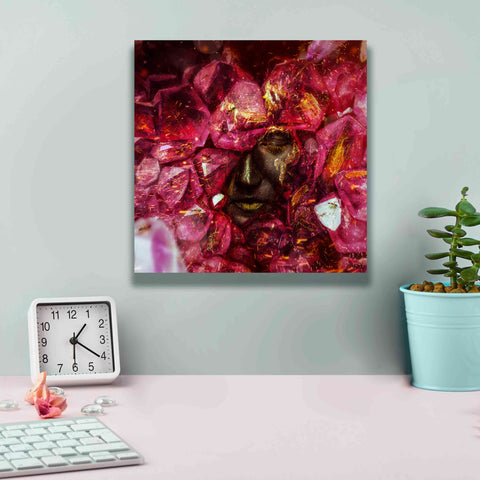 Image of 'States of the Matter - Crystallize' by Mario Sanchez Nevado, Canvas Wall Art,12x12
