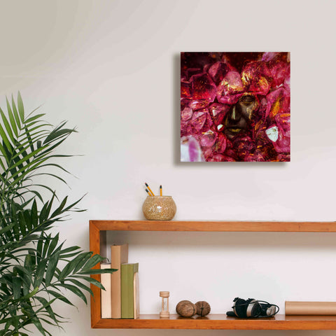 Image of 'States of the Matter - Crystallize' by Mario Sanchez Nevado, Canvas Wall Art,12x12