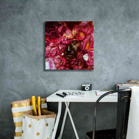 Image of 'States of the Matter - Crystallize' by Mario Sanchez Nevado, Canvas Wall Art,18x18