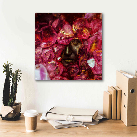 Image of 'States of the Matter - Crystallize' by Mario Sanchez Nevado, Canvas Wall Art,18x18