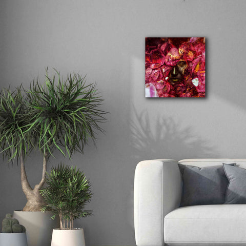Image of 'States of the Matter - Crystallize' by Mario Sanchez Nevado, Canvas Wall Art,18x18