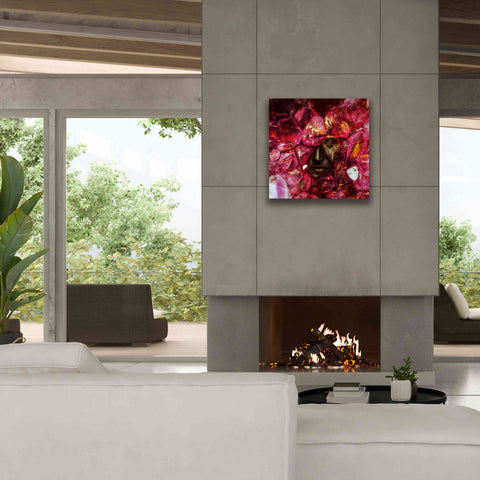 Image of 'States of the Matter - Crystallize' by Mario Sanchez Nevado, Canvas Wall Art,26x26