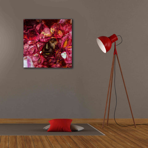 Image of 'States of the Matter - Crystallize' by Mario Sanchez Nevado, Canvas Wall Art,26x26