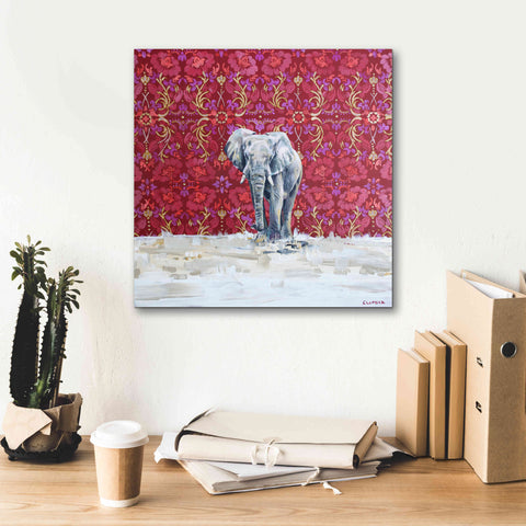 Image of 'Elephant by Alana Clumeck Giclee Canvas Wall Art,18x18