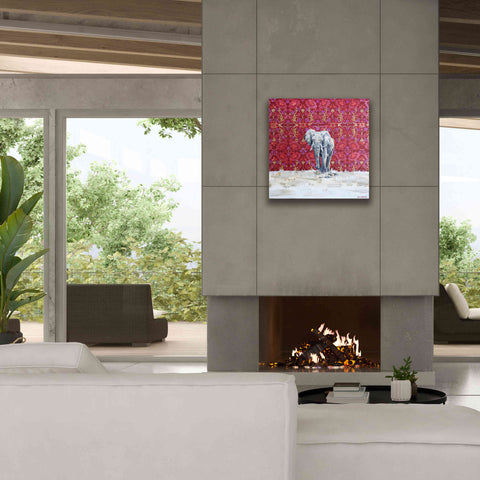 Image of 'Elephant by Alana Clumeck Giclee Canvas Wall Art,26x26