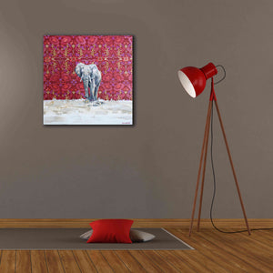 'Elephant by Alana Clumeck Giclee Canvas Wall Art,26x26