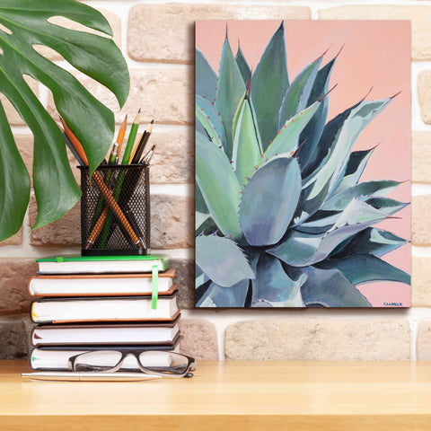 Image of 'Glory by Alana Clumeck Giclee Canvas Wall Art,12x16