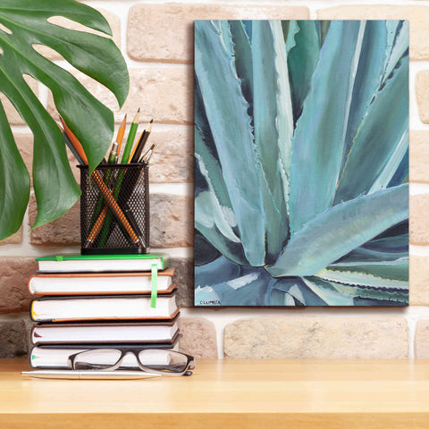 Image of 'Blue Agave by Alana Clumeck Giclee Canvas Wall Art,12x16