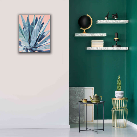 Image of 'Agave With Coral by Alana Clumeck Giclee Canvas Wall Art,20x24
