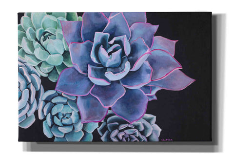 Image of 'Abundance by Alana Clumeck Giclee Canvas Wall Art