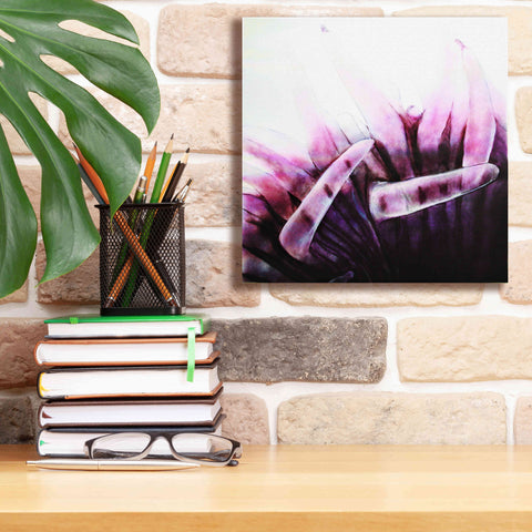 Image of 'Tentacles' by Rita Shimelfarb, Giclee Canvas Wall Art,12x12