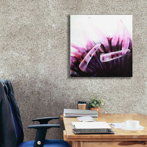 Image of 'Tentacles' by Rita Shimelfarb, Giclee Canvas Wall Art,26x26