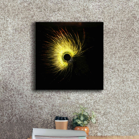 Image of 'Luminescence' by Rita Shimelfarb, Giclee Canvas Wall Art,18x18