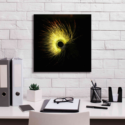 Image of 'Luminescence' by Rita Shimelfarb, Giclee Canvas Wall Art,18x18