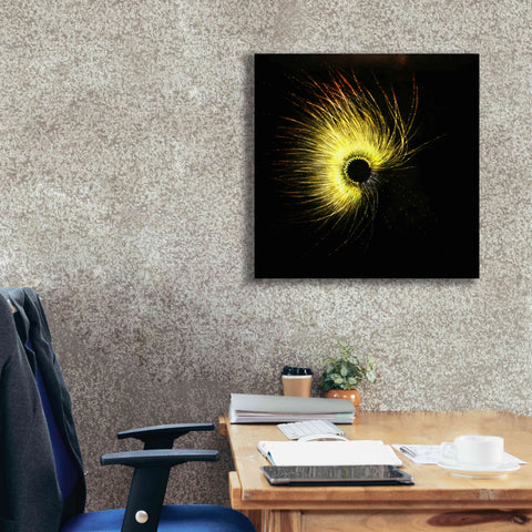 Image of 'Luminescence' by Rita Shimelfarb, Giclee Canvas Wall Art,26x26