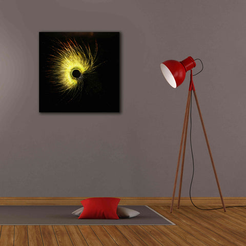 Image of 'Luminescence' by Rita Shimelfarb, Giclee Canvas Wall Art,26x26