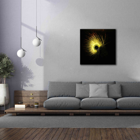 Image of 'Luminescence' by Rita Shimelfarb, Giclee Canvas Wall Art,37x37