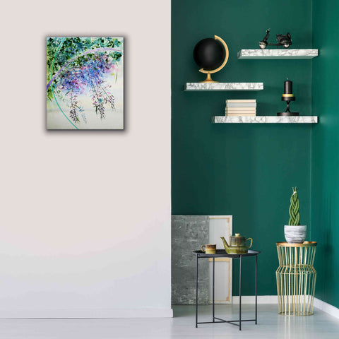 Image of 'Wisteria' by Rita Shimelfarb, Giclee Canvas Wall Art,20x24