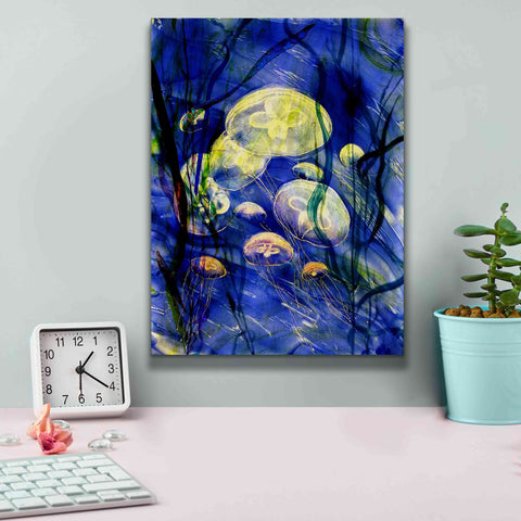 Image of 'Swimming With The Jellies' by Rita Shimelfarb, Giclee Canvas Wall Art,12x16