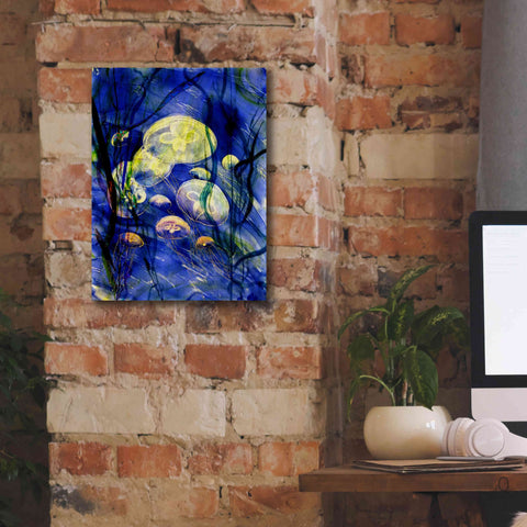 Image of 'Swimming With The Jellies' by Rita Shimelfarb, Giclee Canvas Wall Art,12x16