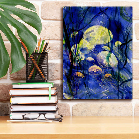 Image of 'Swimming With The Jellies' by Rita Shimelfarb, Giclee Canvas Wall Art,12x16