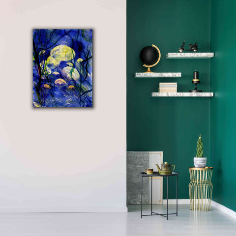 Image of 'Swimming With The Jellies' by Rita Shimelfarb, Giclee Canvas Wall Art,26x34