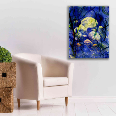 Image of 'Swimming With The Jellies' by Rita Shimelfarb, Giclee Canvas Wall Art,26x34